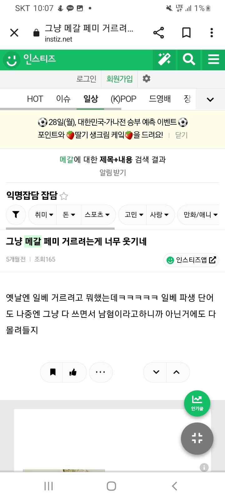 메갈 정당화