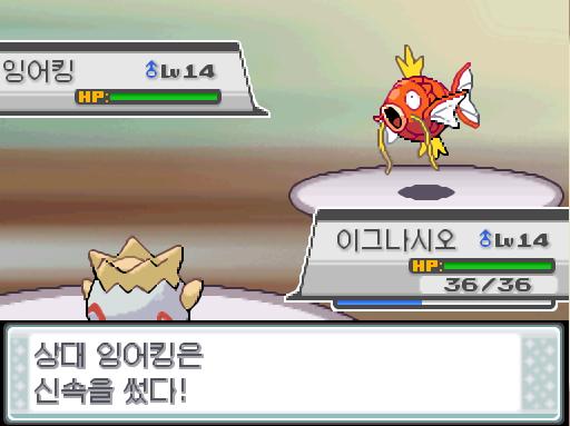상대 잉어킹의 신속! 이그나시오의 베어가르기! 연가람은 무엇을 할까? >>864 싸운다: 더블니들20/거품광선20/신통력30/베어가르기19 가방