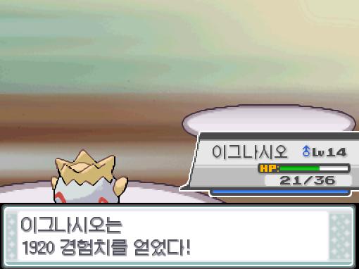 상대 잉어킹의 신속! 이그나시오의 베어가르기! 상대 잉어킹은 쓰러졌다. 이그나시오는 1920 경험치를 얻었다! 이그나시오는 17레벨이 되었다!