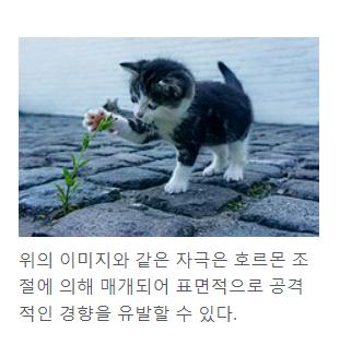 >>9 이거 왤케 웃기냐ㅋㅋㅋㅋㅋㅋㅋㅋ 너무 이과같음,,