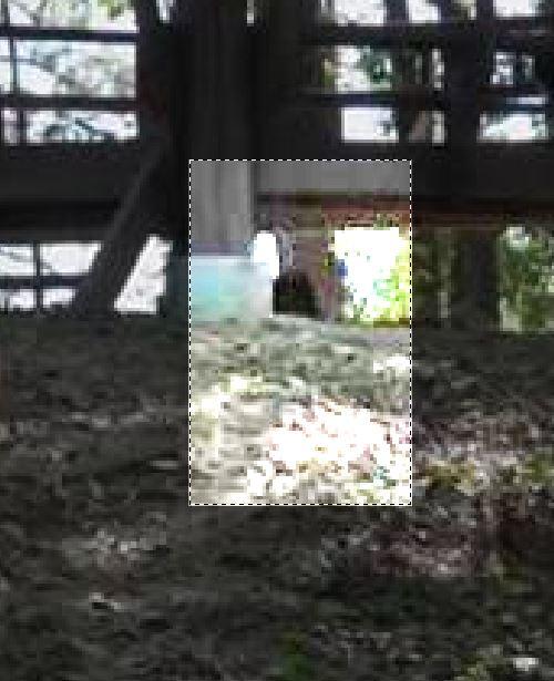 유튜브 영상 보면서 내가 동그라미 친 부분이 나오는 다른 샷 캡쳐온건데, 스레주가 준 캡쳐본이랑 저 유튜브에 있는 그림자 형태가 다름 뭔가 사람