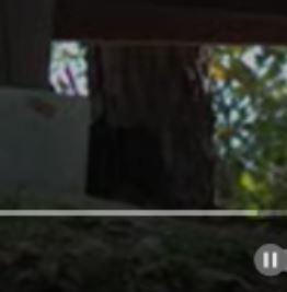 유튜브 영상 보면서 내가 동그라미 친 부분이 나오는 다른 샷 캡쳐온건데, 스레주가 준 캡쳐본이랑 저 유튜브에 있는 그림자 형태가 다름 뭔가 사람
