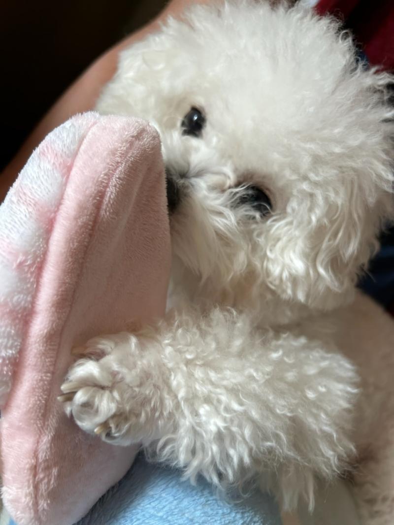 어된다