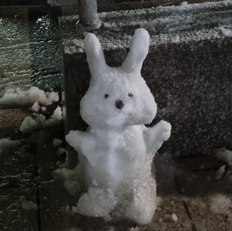 어제 토끼 눈사람 만들었다!!!!!!!!!! 진짜 힘들었어 스레빠 신고 하니까 양말 다 젖음😰 내 20년 인생 눈 쌓인 거 본 적은 2번째네 이