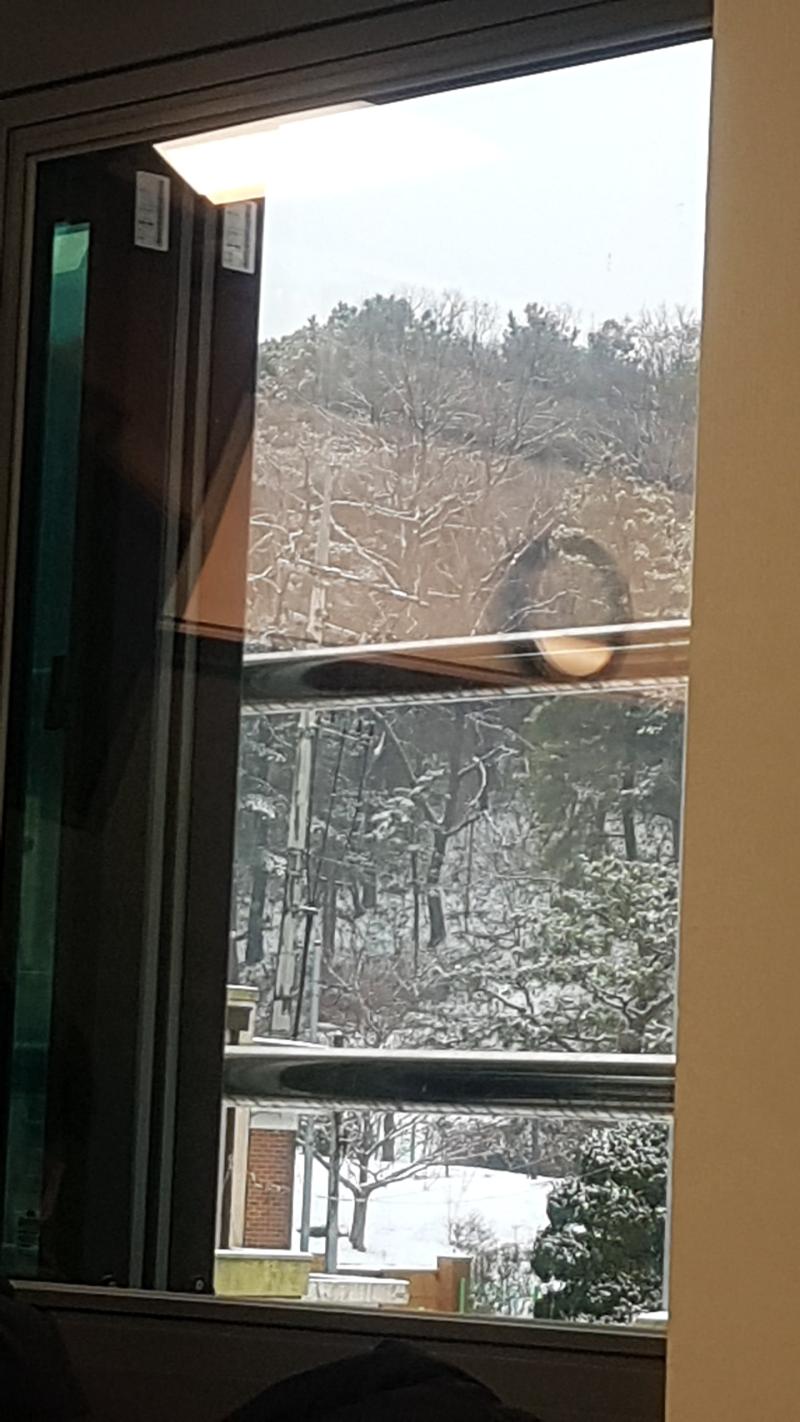 으하하 눈이다 눈