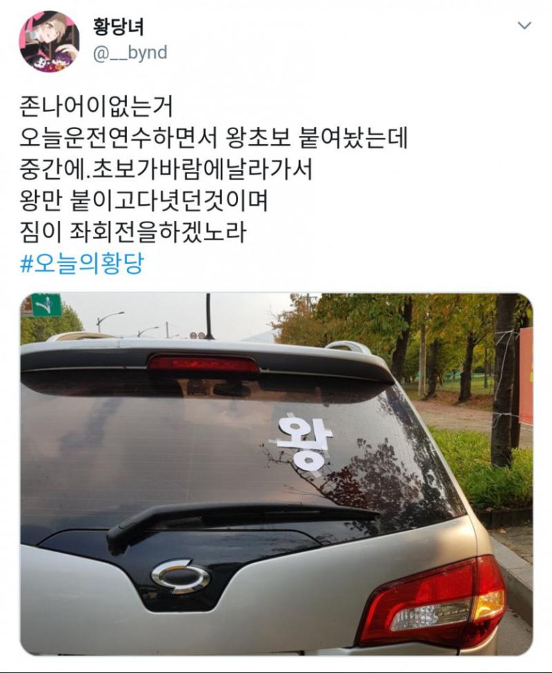 짐이 좌회전을 하겠노라