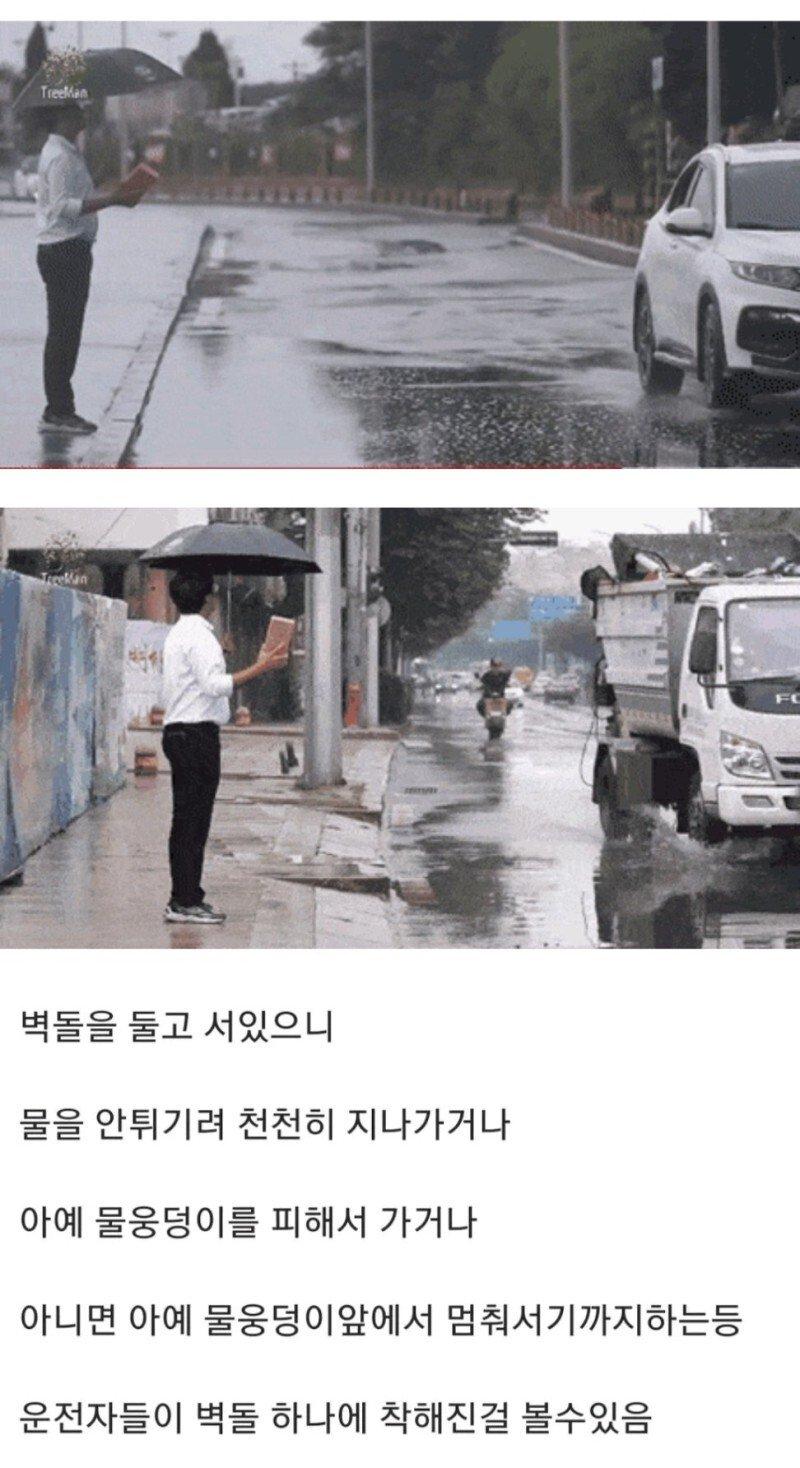 물웅덩이사회실험