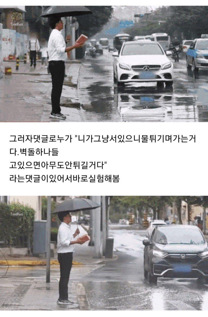 물웅덩이사회실험