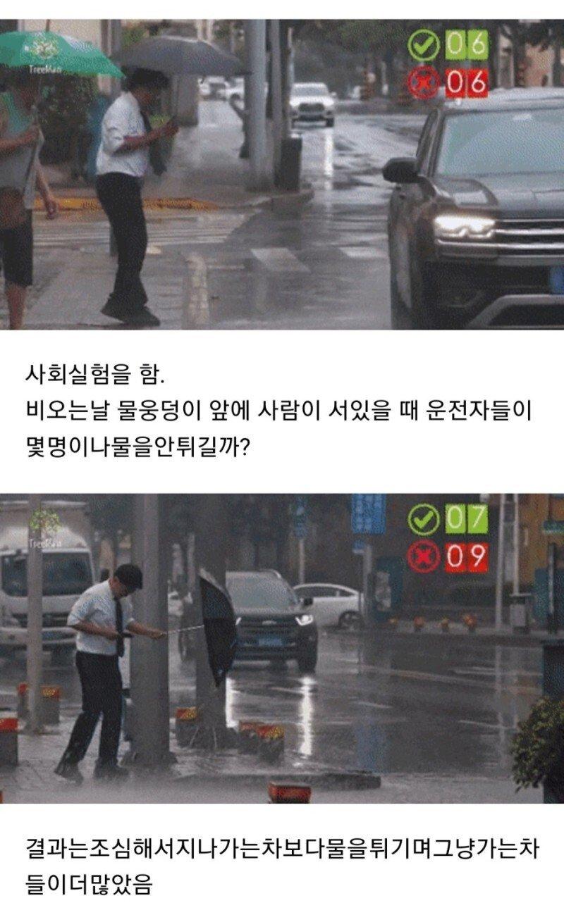물웅덩이사회실험