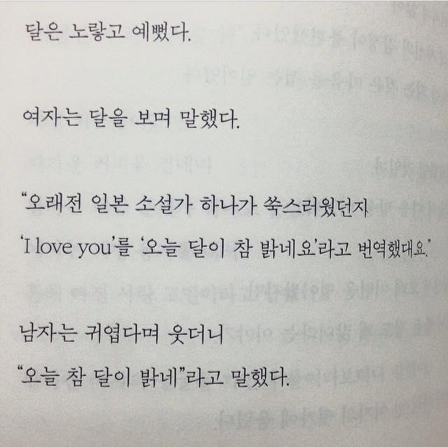 -오늘 달이 참 밝네요