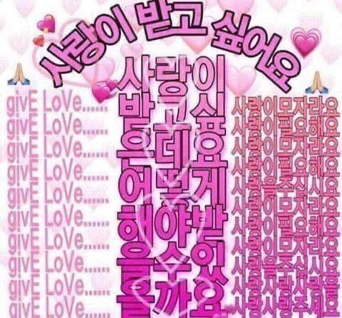 -주접짤 모음
