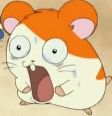히발도윤아안돼!!!!!!!!!!! 안돼미친네티즌들아 니가죽인거야。 니네들이죽인거라고......