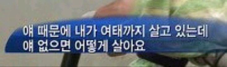 -주접짤 모음2