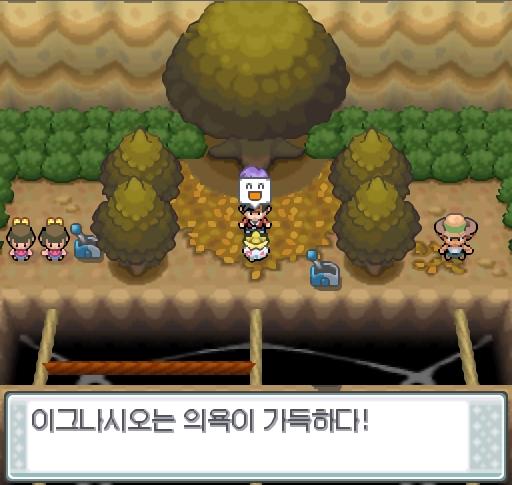 연가람을 이그나시오를 선두로 세우고 이그나시오에게 말을 걸었다. 이그나시오는 의욕이 가득하다! 체육관 관장 호일이 승부를 걸어왔다! 호일의 포켓