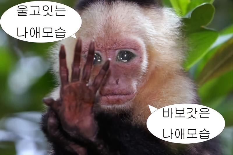 숭짤 찾고 싶어서 발견했는데 숭짤 올리는 트위터 계정도 있더라 ㅋㅋㅋㅋㅋㅋㅋㅋㅋ 이건 거기가 아니라 다른데서 주웠지만