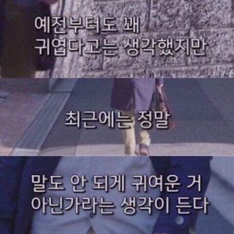 -사랑에목매달기 -결혼해줄것도 아니면서 -최근에는 정말 말도안되게 귀여운거 아닐까
