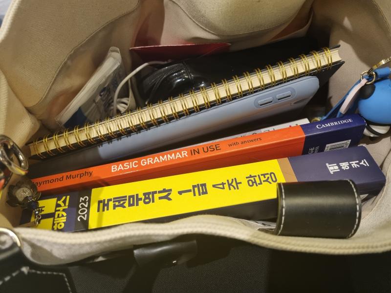 가방에 한가득 싣고와서 공부안하는 아가리 취준생 흑흑 공부흐름이 끊기고 내 세상이 무너졌어 엄마가 유난떤다고 그랬는데 시팔 책이 두꺼운걸 어떡하
