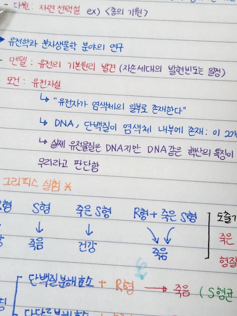 내가 동생한테 얼마나 주접을 떨었으면 이새끼가 내 진로가 경제라고 알고 있는 거지....... ............. 그 과목은 뭐랄까....