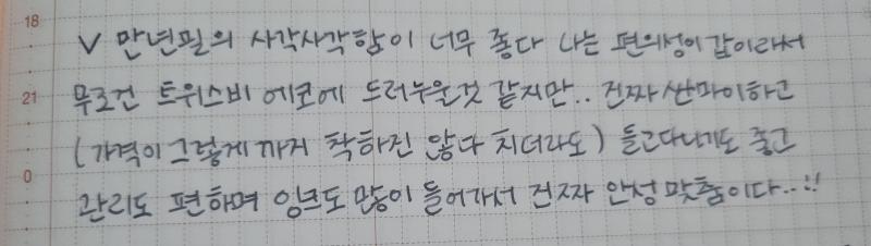 오늘의 글씨 만년필로 적은 일기 평소 슥삭슥삭 적는 글씨체임