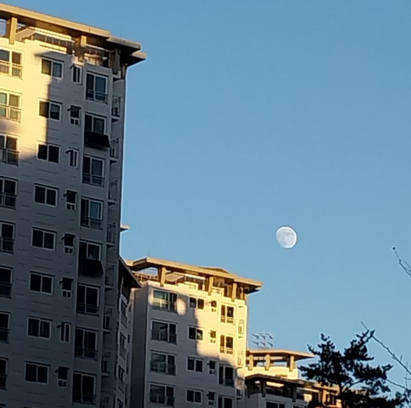 >>105 7. 이른 겨울 아침 옅은 햇빛과 낮달 8. 눈 내린 저녁 연보랏빛 세상 (저 사진 찍고 조금 뒤에 친구랑 포장마차에서 어묵이랑 호떡