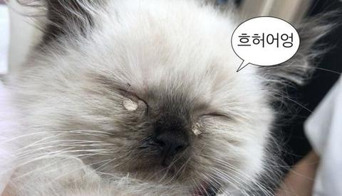 경비 잘가...