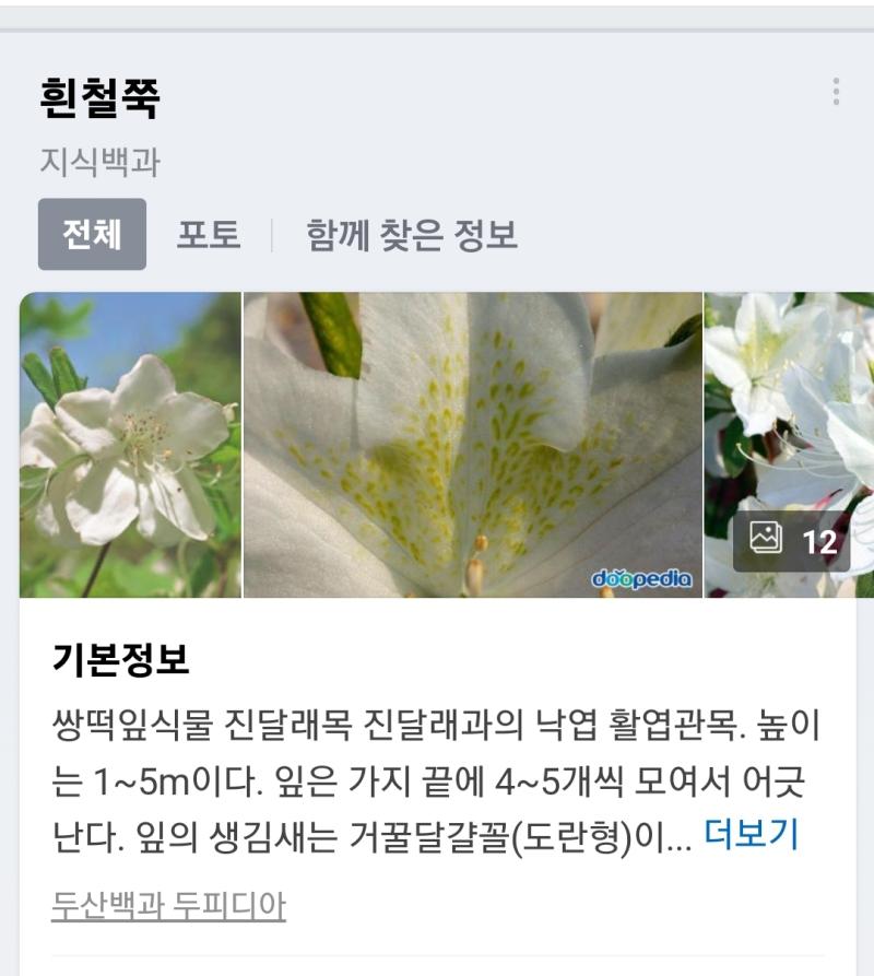 >>14 꽃을 우적우적 씹어먹었단게 아니고 뒷꽁무니만 살짝 빨아먹은거야 ㅋㅋ 이거 확실히 맞고 아파트 화단에 철쭉이라고 이름표 붙어있던 걸로 기