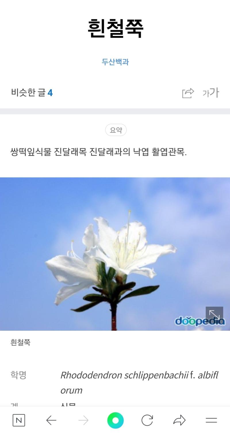 >>14 꽃을 우적우적 씹어먹었단게 아니고 뒷꽁무니만 살짝 빨아먹은거야 ㅋㅋ 이거 확실히 맞고 아파트 화단에 철쭉이라고 이름표 붙어있던 걸로 기