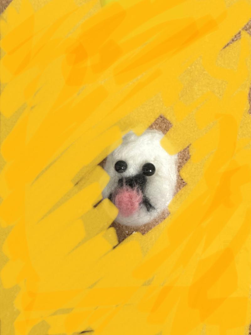 왜 이따윈데