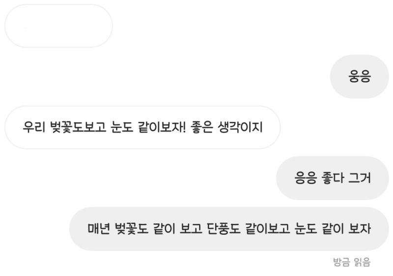 이거는 눈도 보고 벚꽃도 보자고...