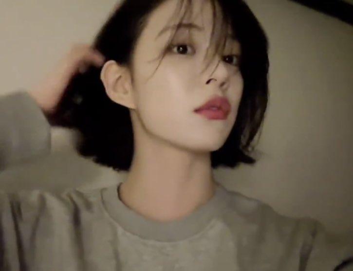 사진첨부 애니메이션 추가가 무슨말임?