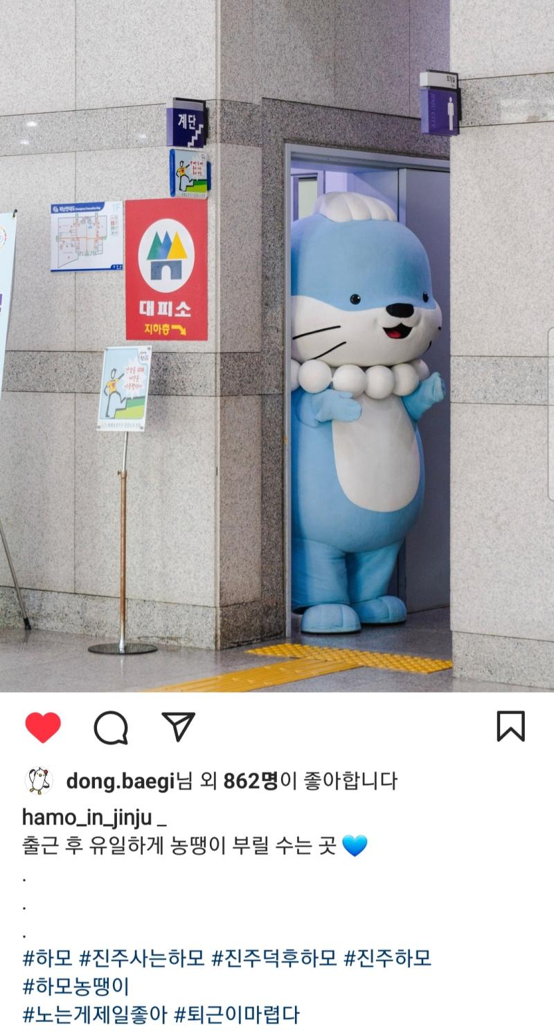 >>44 나도 지자체 공식 캐릭터 인스타에서 이 표현 보고 불쾌했어 캐릭터는 귀여운데ㅠ 왜그랬는지ㅠ유행하는 표현이니까 힙하게 느껴진건가... 담