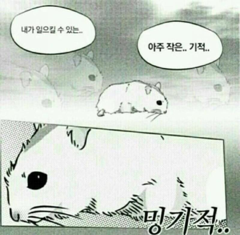 최애짤 생겼당