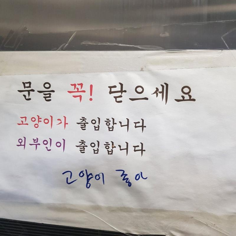 오늘은 스즈메의 문단속 보고왔어 스포없는 후기