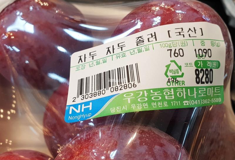 자두자두
