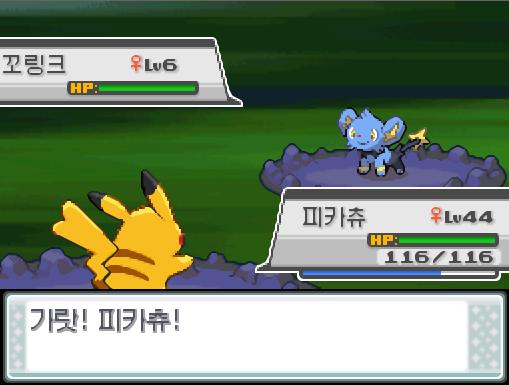 너도밤나무 숲에서 포켓몬과 만날 수 있는 횟수: 최대 1회/현재 1회 너도밤나무 숲에서 트레이너와 배틀할 수 있는 횟수: 최대 1회/현재 0회