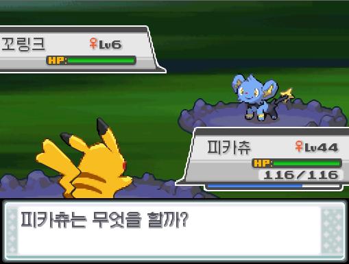 너도밤나무 숲에서 포켓몬과 만날 수 있는 횟수: 최대 1회/현재 1회 너도밤나무 숲에서 트레이너와 배틀할 수 있는 횟수: 최대 1회/현재 0회