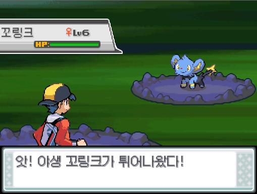 너도밤나무 숲에서 포켓몬과 만날 수 있는 횟수: 최대 1회/현재 1회 너도밤나무 숲에서 트레이너와 배틀할 수 있는 횟수: 최대 1회/현재 0회