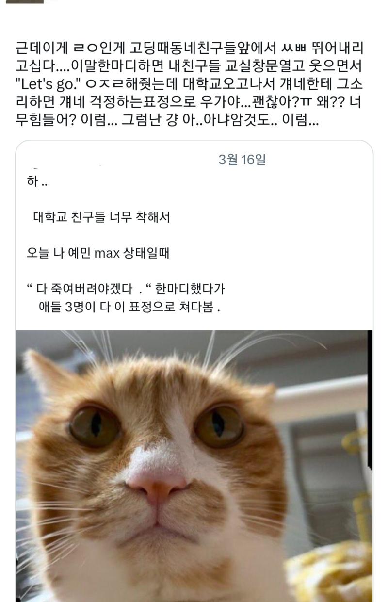 아니 제발 왜 부끄러움은 내몫임 뭔 되도않는 쌍욕에 툭하면 죽어야지(죽여야지)...해대고 혼자만 아는 심연의 밈꺼내는건 어른되면 좀 그만해라..
