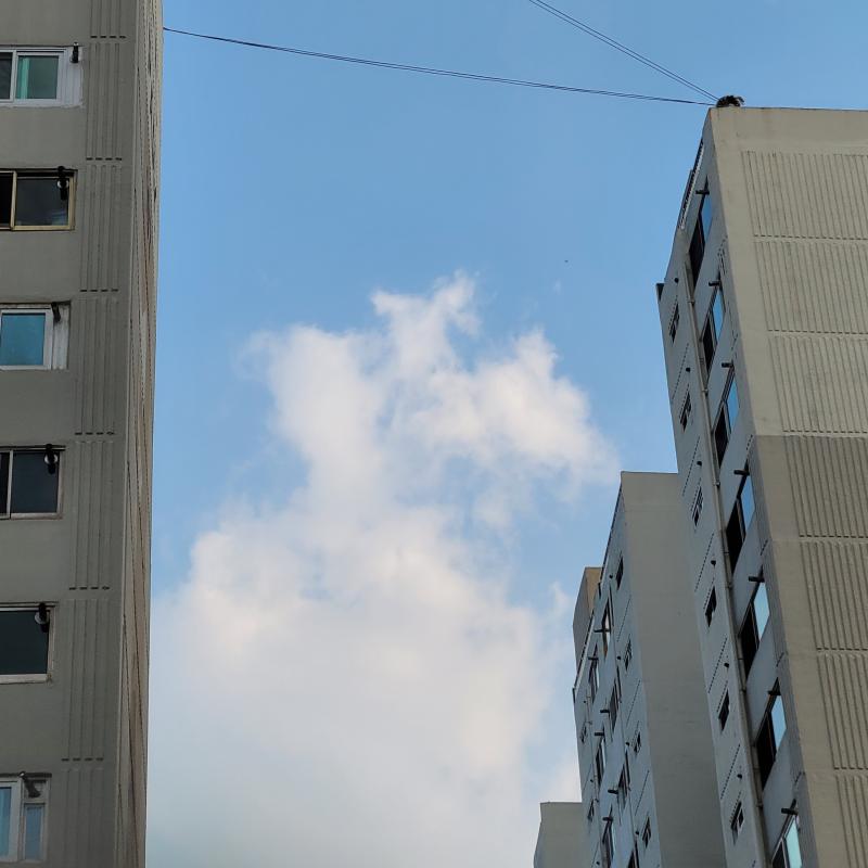 예전에 찍었던 하늘 사진
