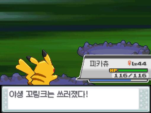 피카츄의 잼잼펀치! 야생 꼬링크는 쓰러졌다! 피카츄는 204 경험치를 얻었다!