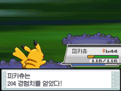 피카츄의 잼잼펀치! 야생 꼬링크는 쓰러졌다! 피카츄는 204 경험치를 얻었다!