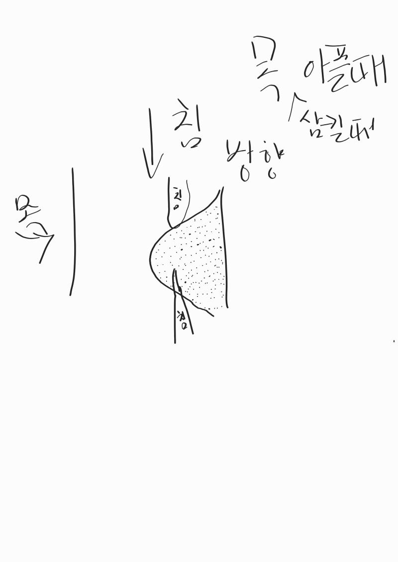 나만 이해하나... 나 이런거나 사람들 목소리같은게 그려지던데 역시 나만 아는걸까