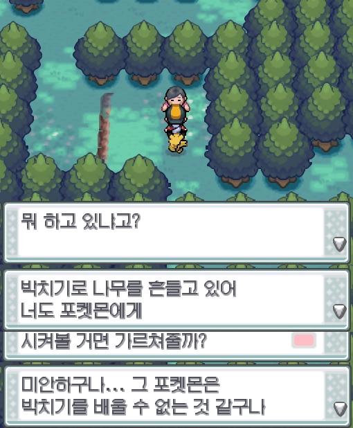 연가람은 너도밤나무 숲에서 박치기 하는 사람을 발견했다. 그 사람에게 말을 걸어보니 포켓몬에게 박치기 기술을 알려주겠다고 했다. 하지만 놀랍게도