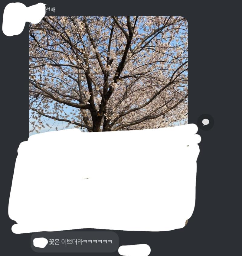내 최애 사진들 모아봤는데 취향 뚜렷한 거 봐 ㅋㅋㅋㅋㅋㅋ 하늘과 빛과 빛번짐과 노을을 사랑하는 편입니다 그리고 꽃도요 귀에 피어싱을 하고 있었