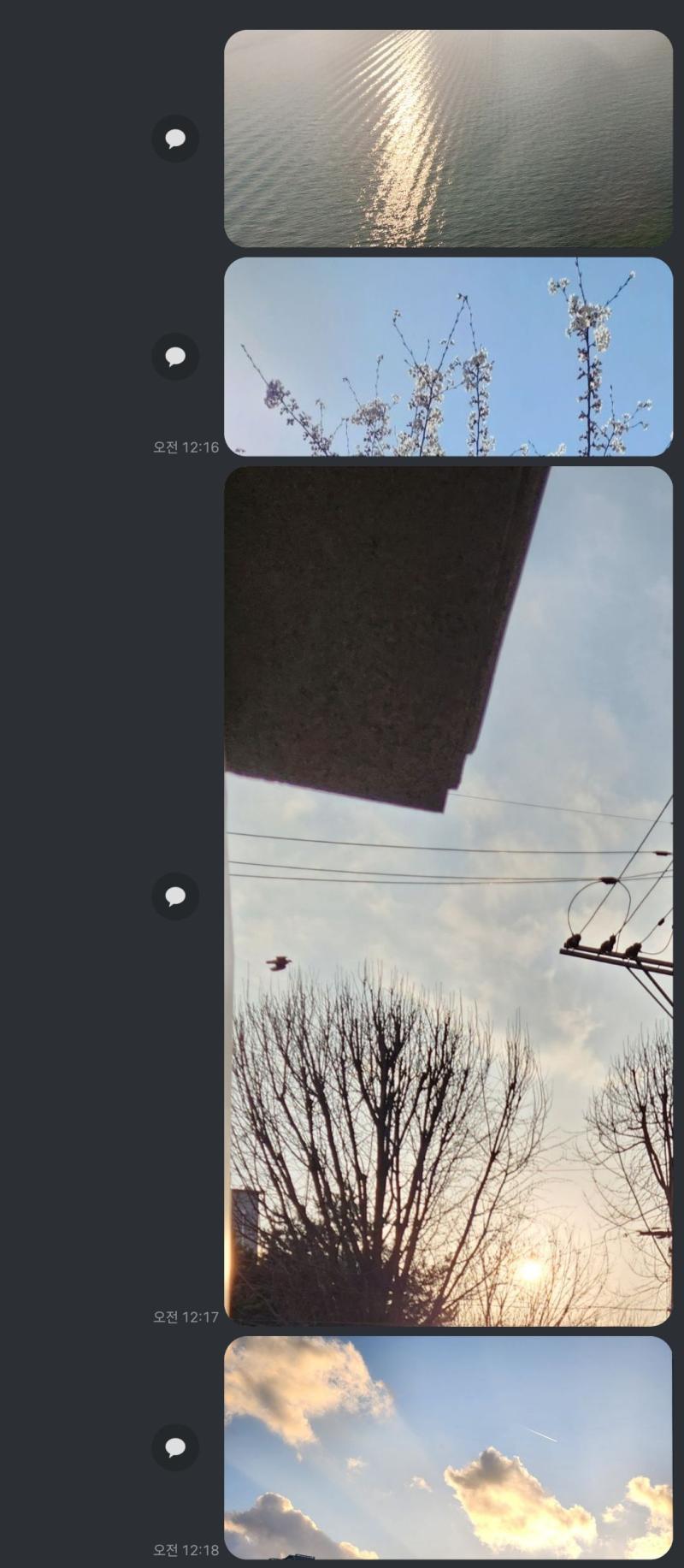 내 최애 사진들 모아봤는데 취향 뚜렷한 거 봐 ㅋㅋㅋㅋㅋㅋ 하늘과 빛과 빛번짐과 노을을 사랑하는 편입니다 그리고 꽃도요 귀에 피어싱을 하고 있었