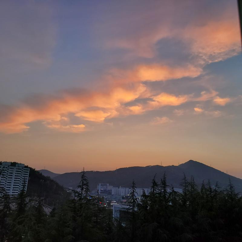 어제 저녁 하늘 완전 예뻤다