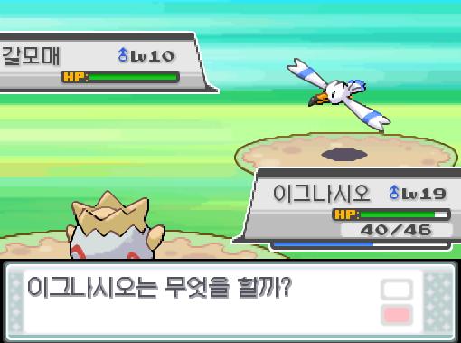 빌런트 교대! 돌아와! 가랏! 이그나시오! 상대 갈모매의 쪼아대기 공격! 이그나시오는 무엇을 할까? >>97 싸운다: 더블니들20/거품광선20/