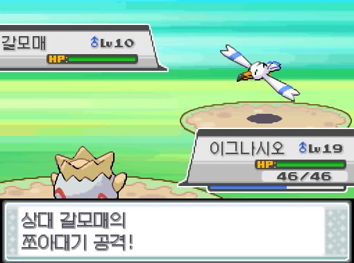빌런트 교대! 돌아와! 가랏! 이그나시오! 상대 갈모매의 쪼아대기 공격! 이그나시오는 무엇을 할까? >>97 싸운다: 더블니들20/거품광선20/