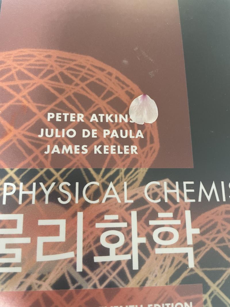 벚꽃잎을 주웠어요 하늘에서 팔랑팔랑 떨어지길래