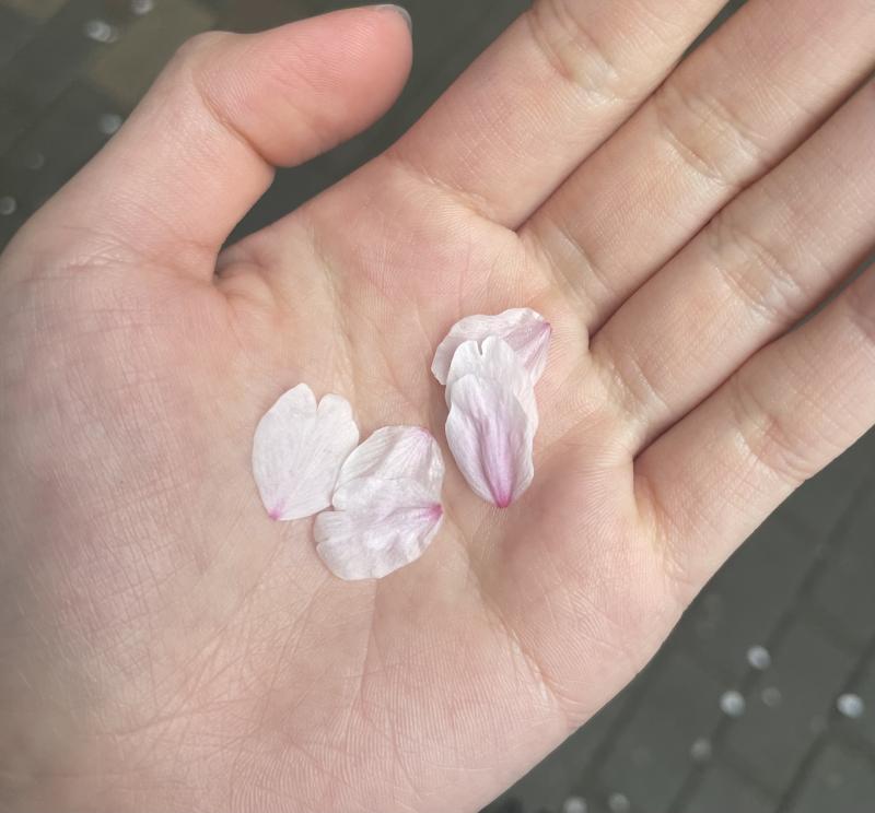 ㅎㅎ